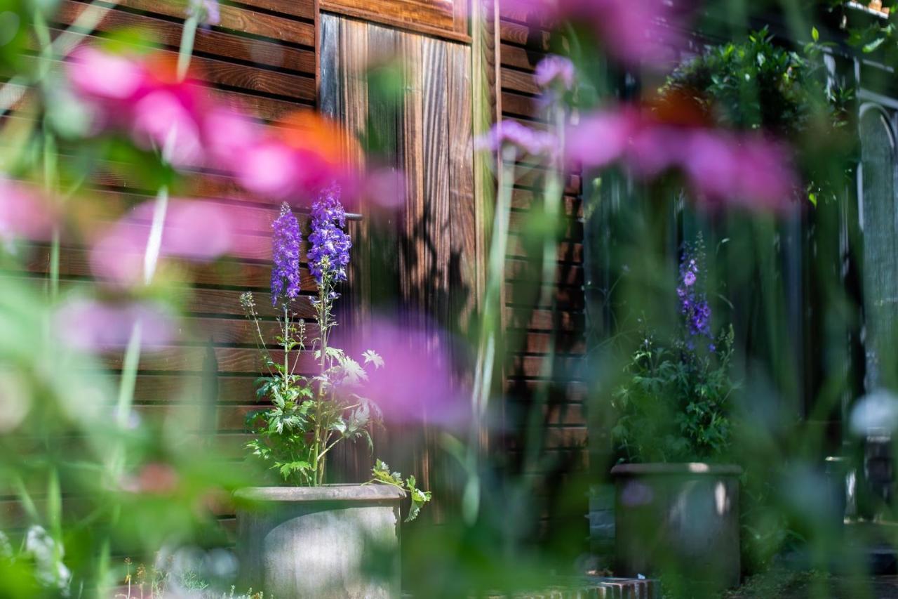 Beeltjens B&B: Wolf&Belle Westerlo Exterior photo